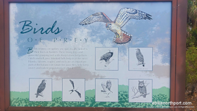 Gallery Slide